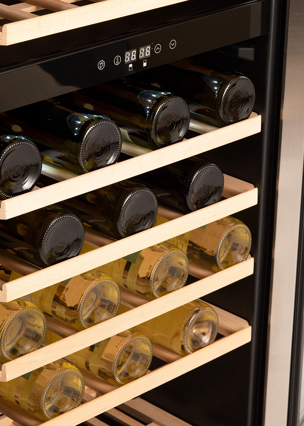 CREATE - WINECOOLER XXL - Cave à vin réfrigérée 70 bouteilles