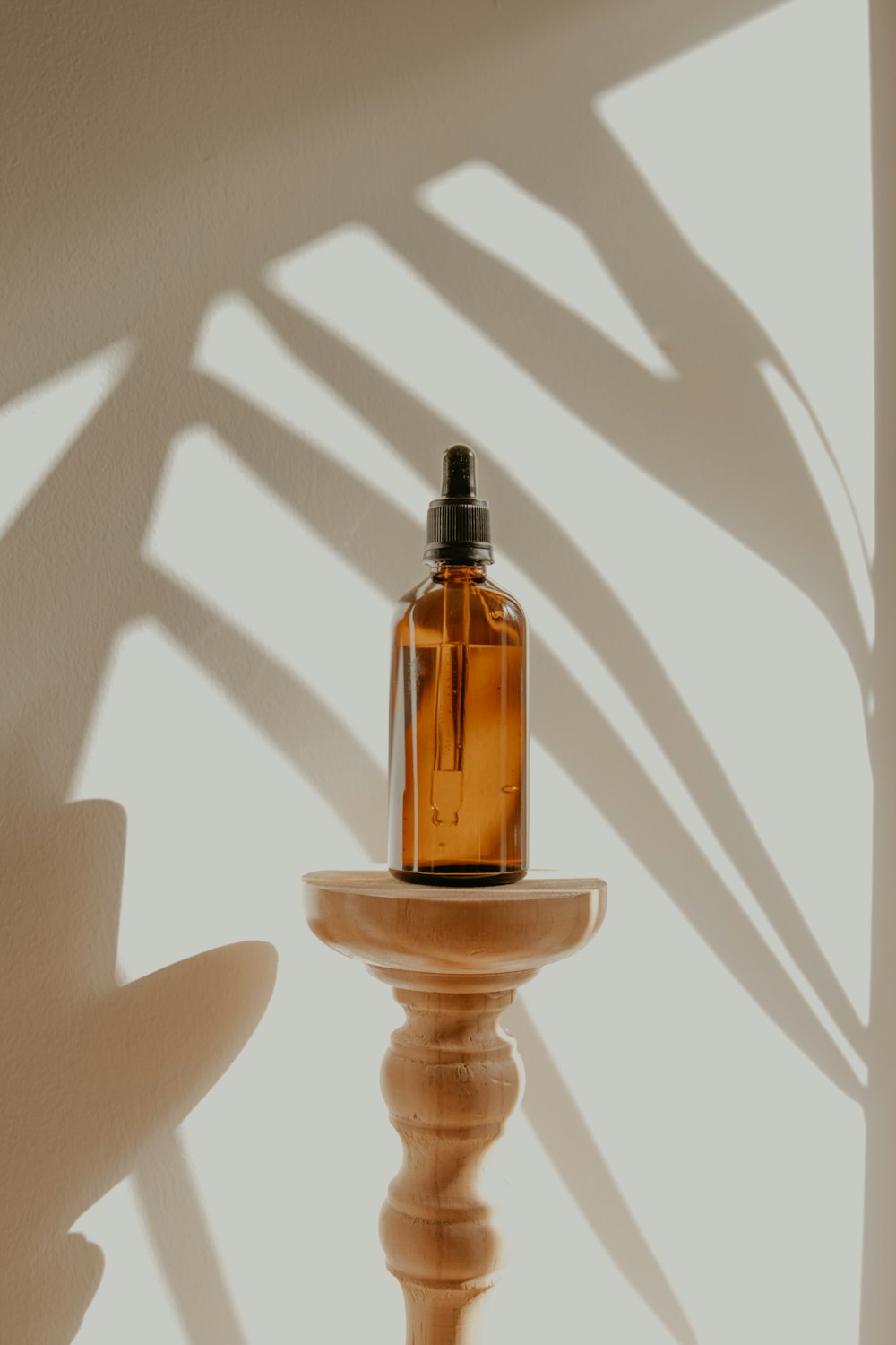 Diptyque Bougie Parfumée Figuier